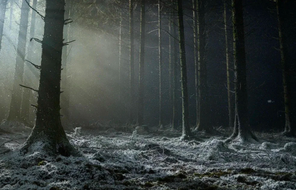 Robert Eggers’ ‘Werwulf’