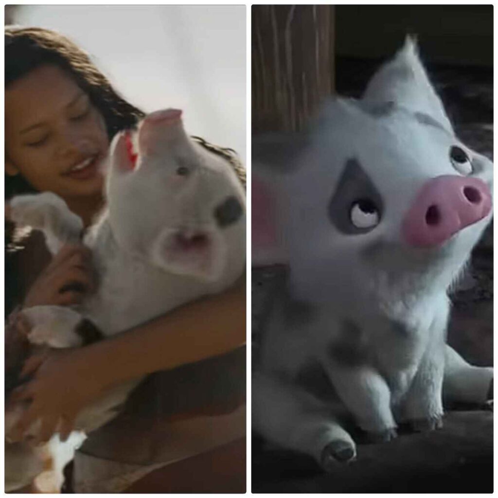 moana cast, maui moana, moana live action, cast of moana, moana characters